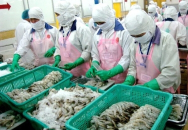 Cho thuê lao động chế biến thủy hải sản